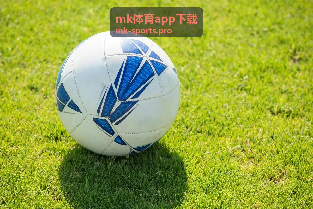 mk体育app下载 竞技界面展示